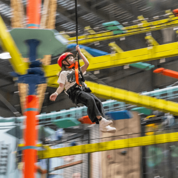 Social Fair High Ropes Course